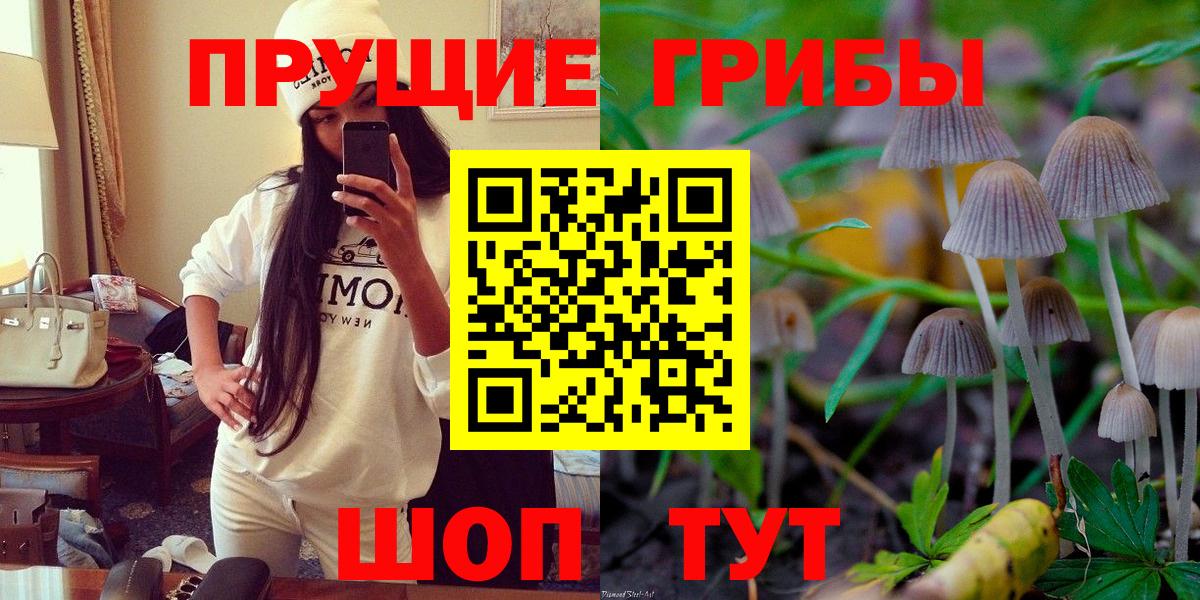 Псилоцибиновые грибы GOLDEN TEACHER  Вход с VPN  Нефтекумск 